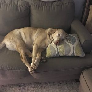 Meet your Posher, Christopher